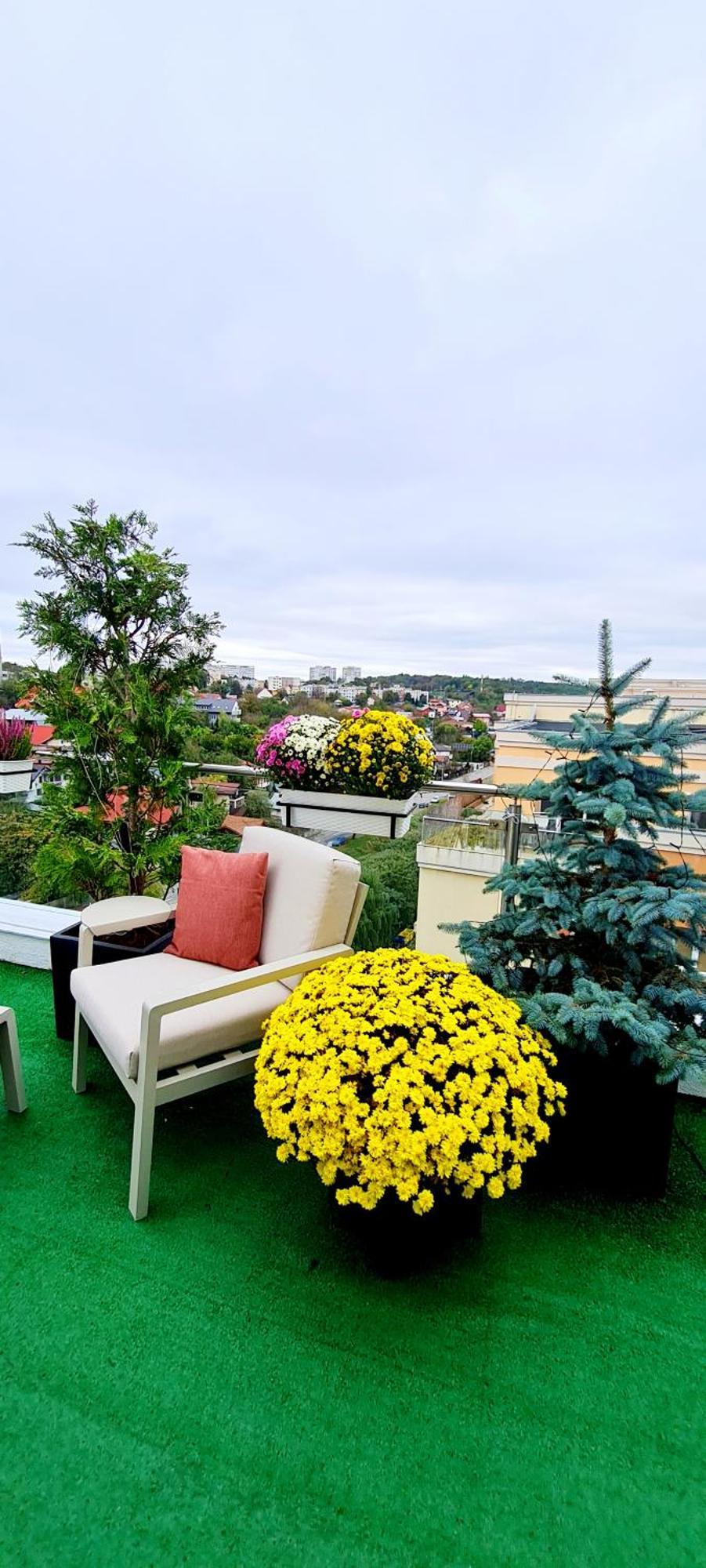 Ferienwohnung Penthouse View Aeroport Iasi Exterior foto